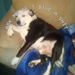 Meet your Posher, Kathy